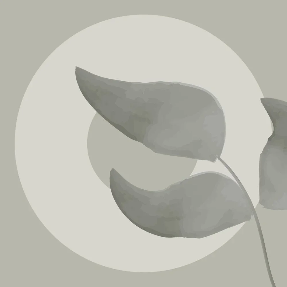 Nature’s Touch iOS Icon Pack .StylishiOSDesign l DigitalIconArt. Chic Interface